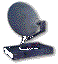 DSS 